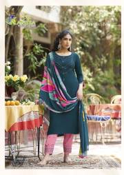 Karissa  VIDISHA VOL- 9
